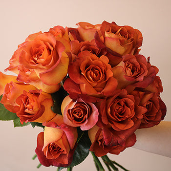 Coffee Break Roses up close