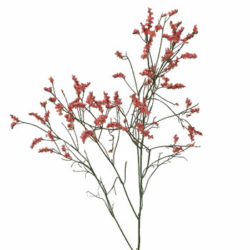 Coral Limonium Airbrushed Filler Flowers