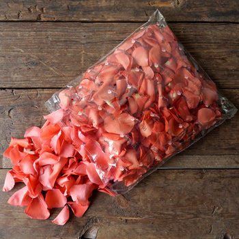 Coral Fresh Rose Petals Wholesale
