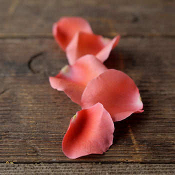 Coral Real Rose Petals