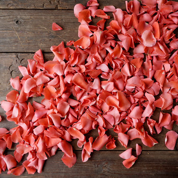 Coral Rose Petals for sale