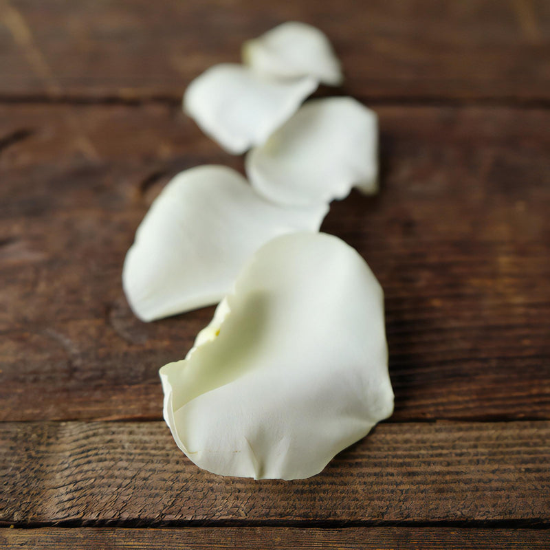 Cream Real Rose Petals