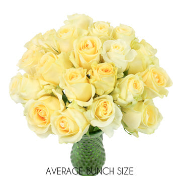 Lemon Sherbet Sweetheart Roses