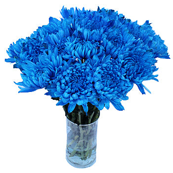 Blue Cremon Bulk FlowersTested ,.-123456:;$�%R!