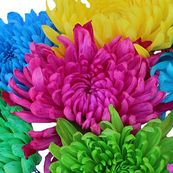 Farm Mix Enhanced Cremon Flower