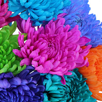 Farm Mix Enhanced Cremon Flower