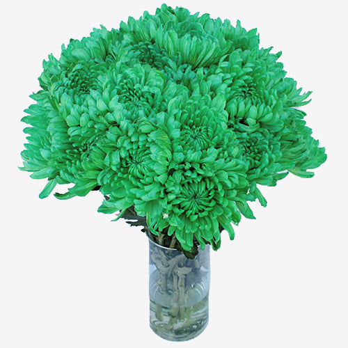 Green Cremon Bulk Flowers