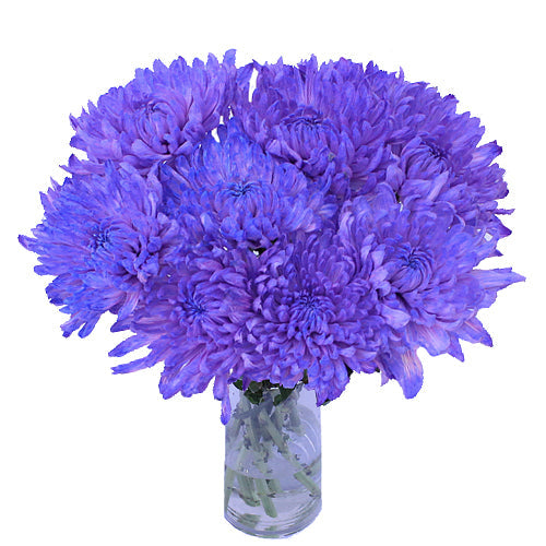 Purple Pastels Wedding Cremon Flower