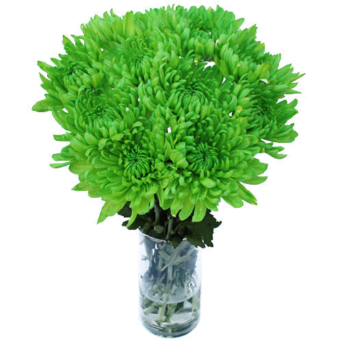 Lime Green Wedding Flower