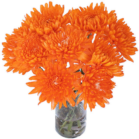 Orange You Glad Bulk Cremon Flowers