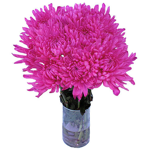 Electric Pink Mum Wedding Flower