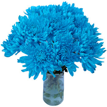Electric Blue Wedding Flower