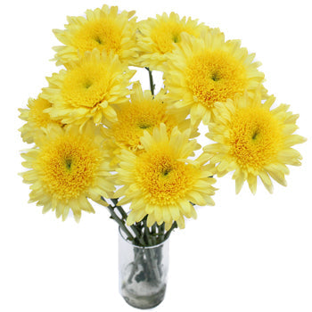 Lemon Yellow Cremon Flower