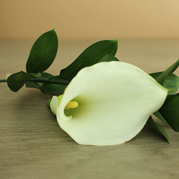 Off White Mini Callas Centerpieces