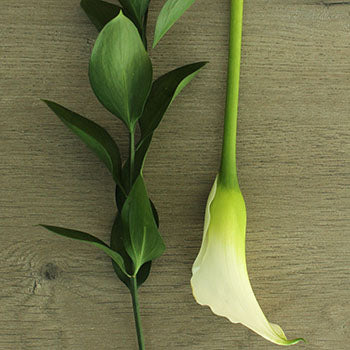 Off White Mini Callas Centerpieces