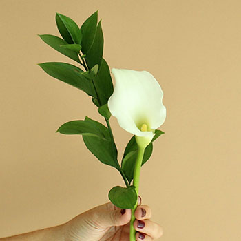 Off White Mini Callas Centerpieces