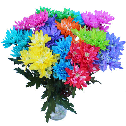 Hot Enhanced Cushion Bulk Flowers