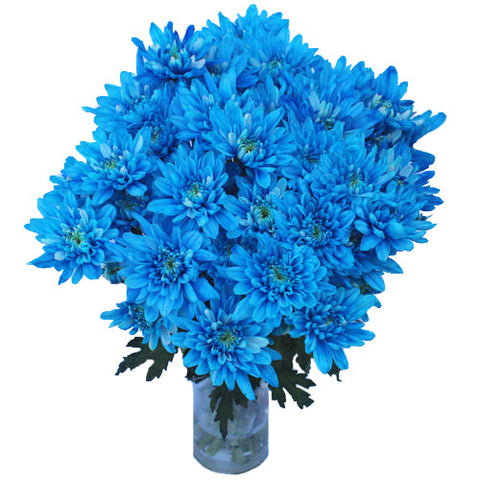 Electric Blue Enhanced Flowers