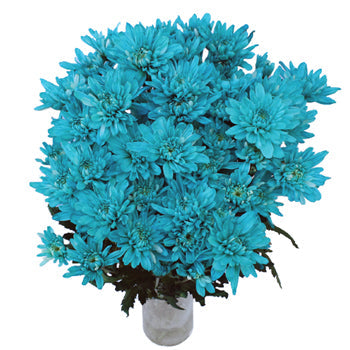 Turquoise Blue Enhanced Flowers