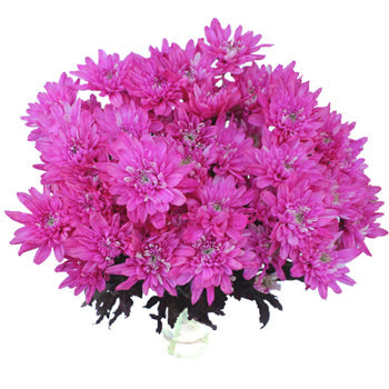 Electric Pink Enhanced Flower