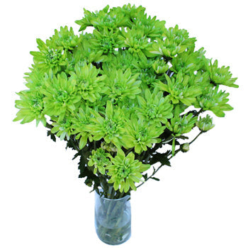 Lime Green Enhanced Flower