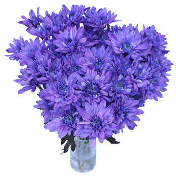 Indigo Violet Enhanced Flower