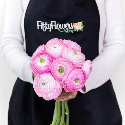 Light Pink Ranunculus Wholesale Flower Bunch in a hand