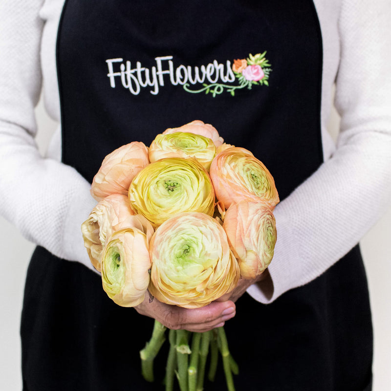 Peach Ranunculus Wholesale Flower Bunch in a hand