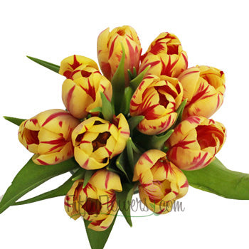 Grand Perfection Yellow and Red Tulips Wholesale Flower Bunch