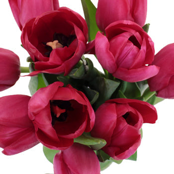 Il de France Red Tulips Wholesale Flower Bunch
