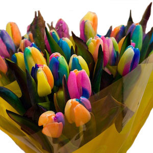 Rainbow Tulips Wholesale Flower Bunch