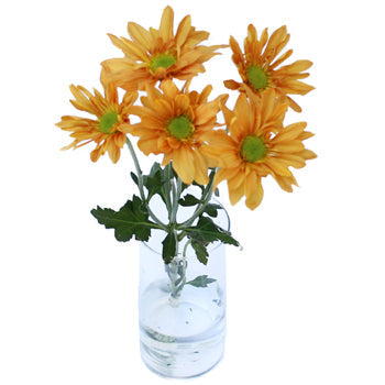 Tangerine Orange Wedding Daisy Flower