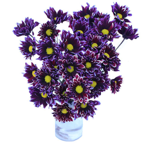 Tie Dye Daisy Flower Purple
