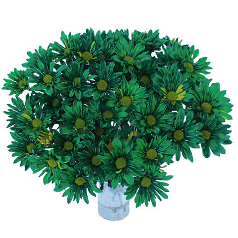 Enhanced Green Daisy Flower