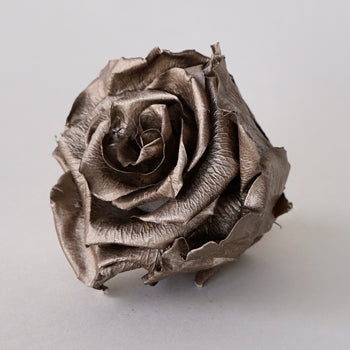 Preserved Dark Gold Rose