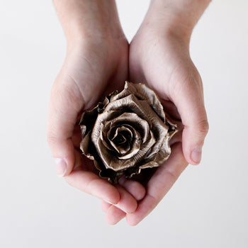 Preserved Dark Gold Rose