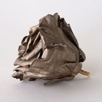 Preserved Dark Gold Rose