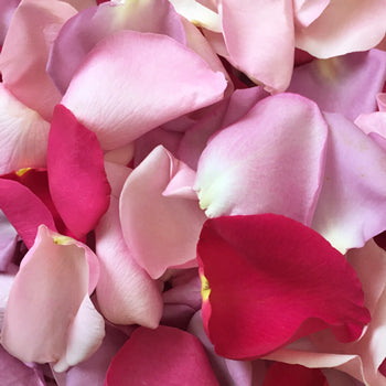 Mixed Pink Dried Rose Petals