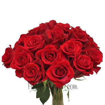 Red Devotion Rose