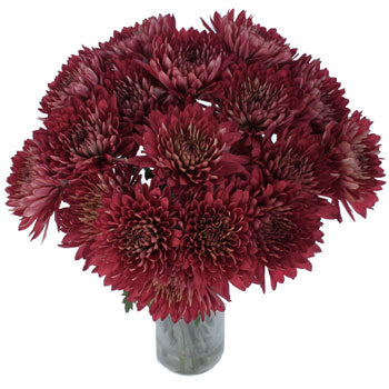 Fall Terracotta Flower