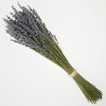 Dried Lavender Bulk Bunches