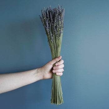 Dried Lavender Bulk Bunches