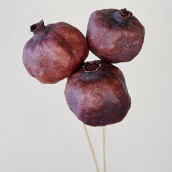 Dried Pomegranates