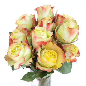 Antique Green Rose Zazu
