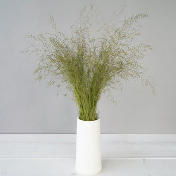 Fresh cut greens ebony love grass bunch designed