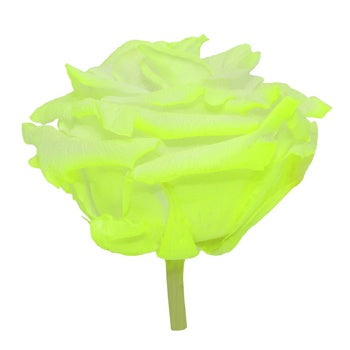 Preserved Electric Green Rose
