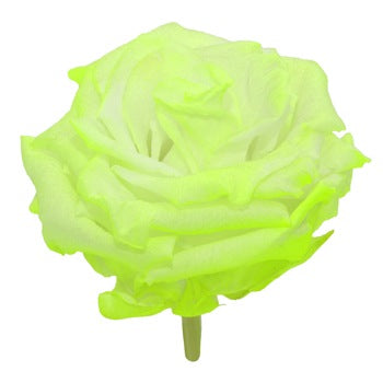 Preserved Electric Green Rose