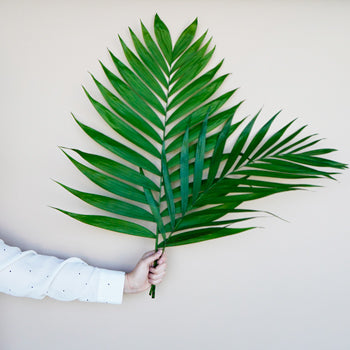 Emerald Palm Greens