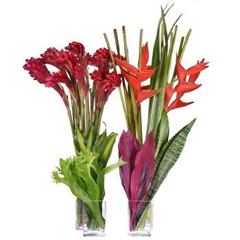 Sunset Beach Tropical Combo Pack