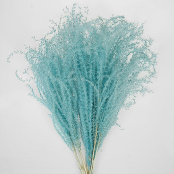 Light Blue Dried Eulalia Grass